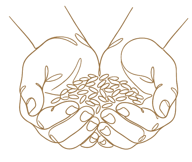 A handful of grain — simple giving from the kitchen